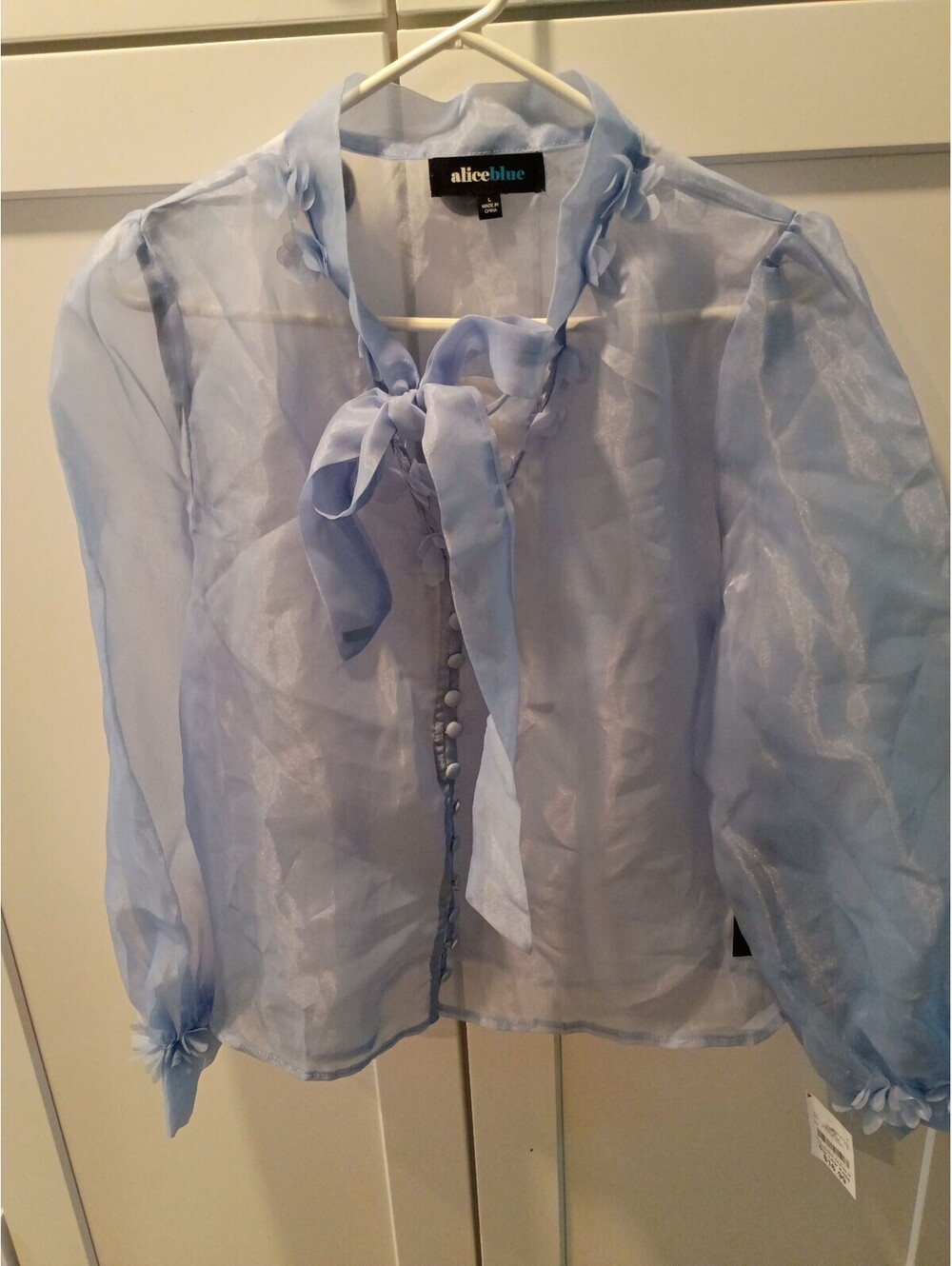 aliceblue Light Blue Sheer Organza Blouse with Floral Appliques and Tie Neck